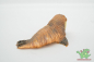 Preview: Schleich Walross 16080